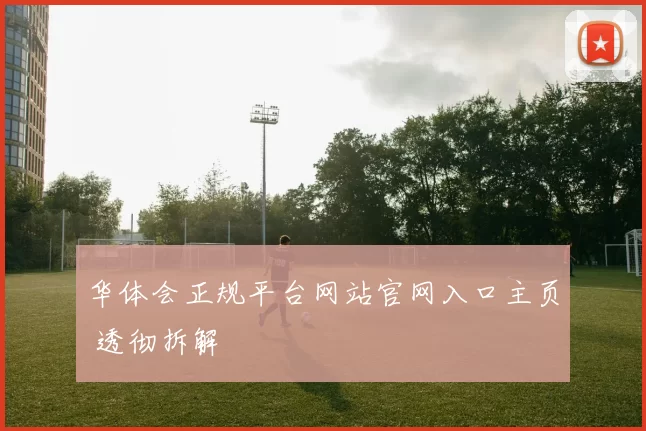 华体会正规平台网站官网入口主页 透彻拆解