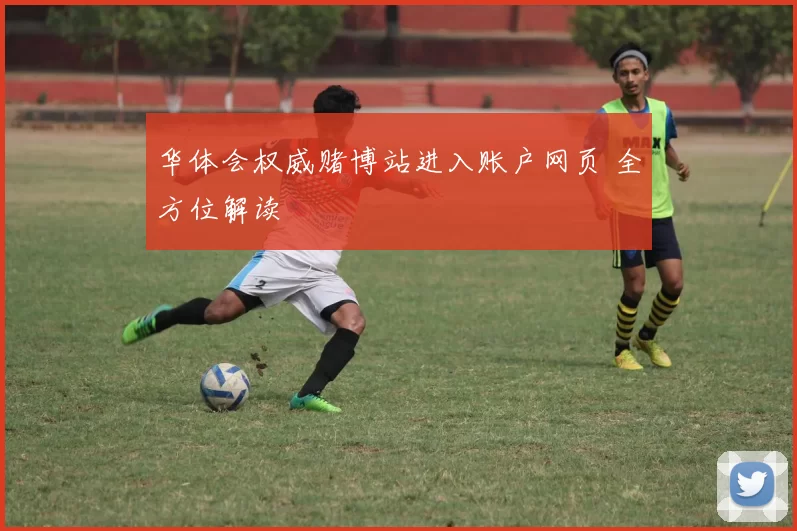 华体会权威赌博站进入账户网页 全方位解读