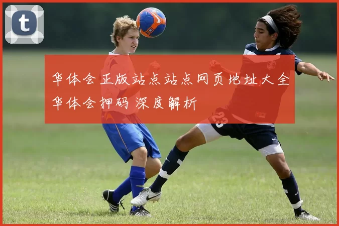 华体会正版站点站点网页地址大全华体会押码 深度解析