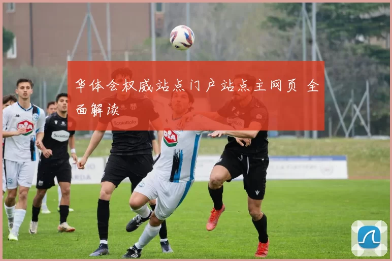 华体会权威站点门户站点主网页 全面解读